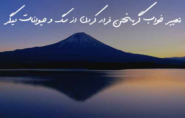 023738206306827302637 تعبیر خواب 