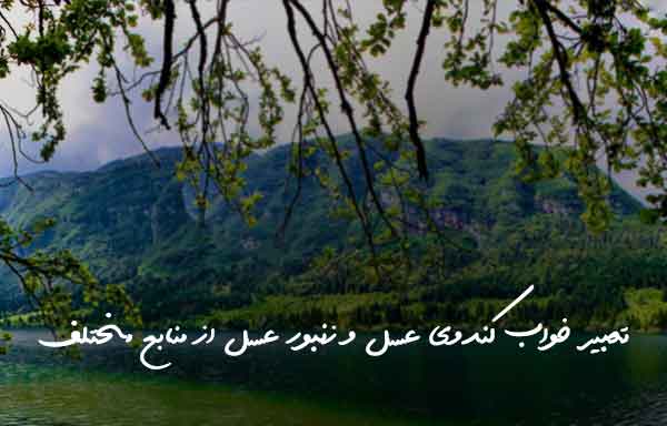 03662362320623870 تعبیر خواب 