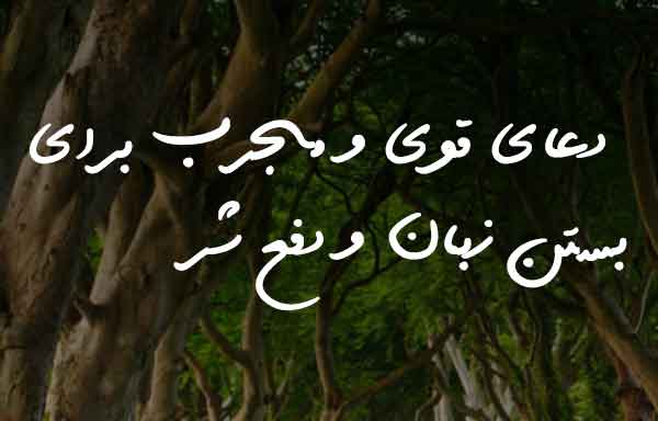 08263237286327083 ادعيه و اذكار 