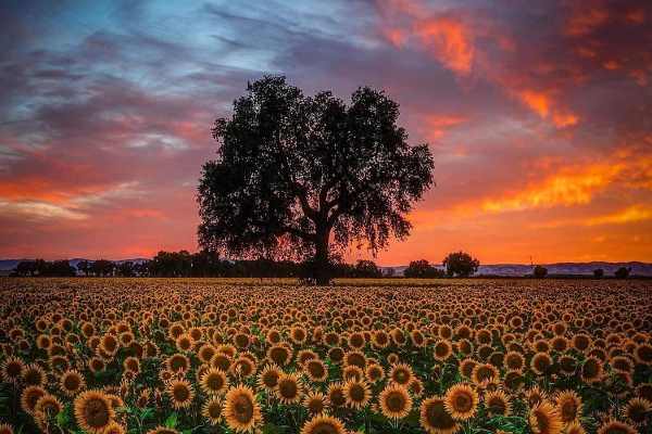 دعای-مجرب-برای-وقت-صبح دعا و ختم مجرب 