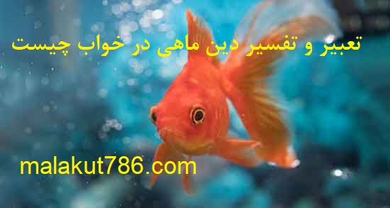 1-11-1 تعبیر خواب دسته‌بندی نشده 