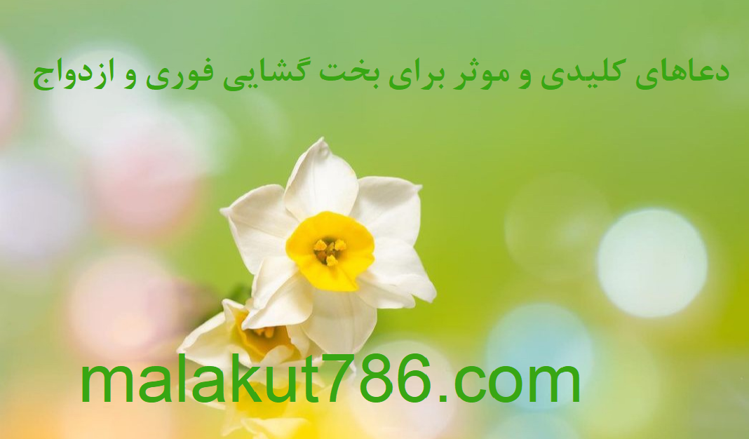 دعاهای-مجرب-و-موثر-برای-بخت-گشایی-و-ازدواج-فوری ادعيه و اذكار بخت گشایی و ازدواج دسته‌بندی نشده دعا 