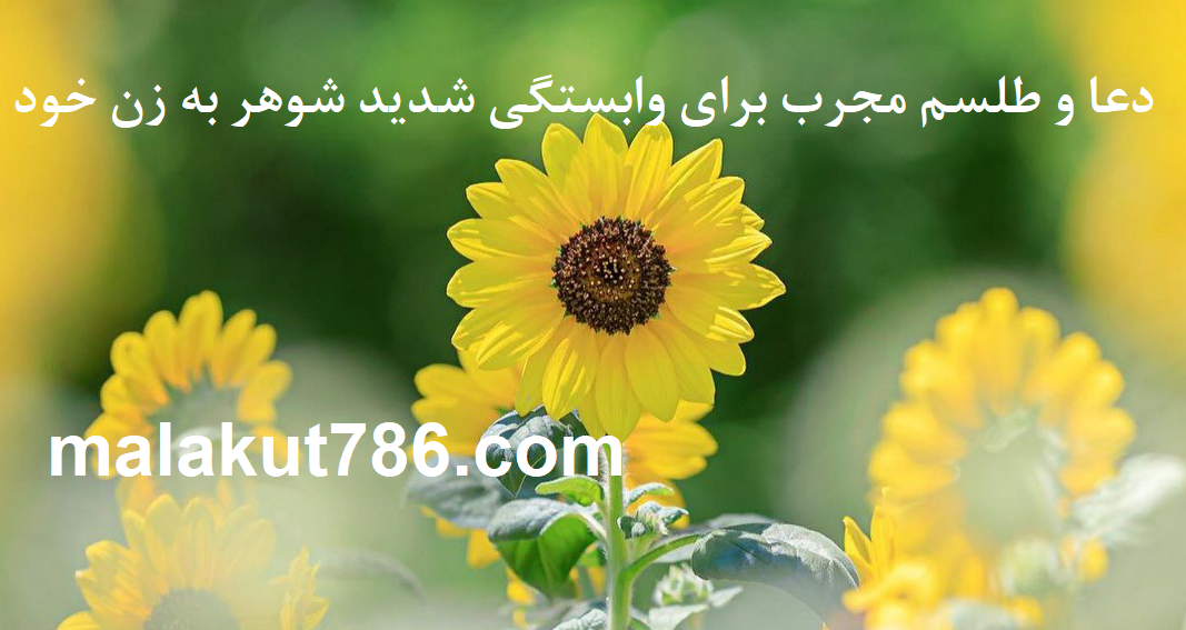 دعا-و-طلسم-مجرب-برای-وابستگی-شدید-شوهر-به-زن-خود ادعيه و اذكار دسته‌بندی نشده دعا متفرقه مهر و محبت 