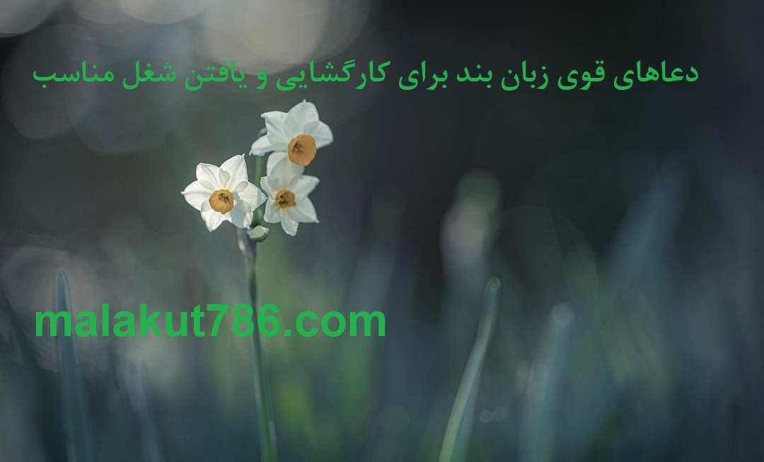 دعاهای-تجربه-شده-برای-یافتن-شغل-مناسب-و-کارگشایی-سریع ادعيه و اذكار دسته‌بندی نشده دعا دعای گشایش کار متفرقه 