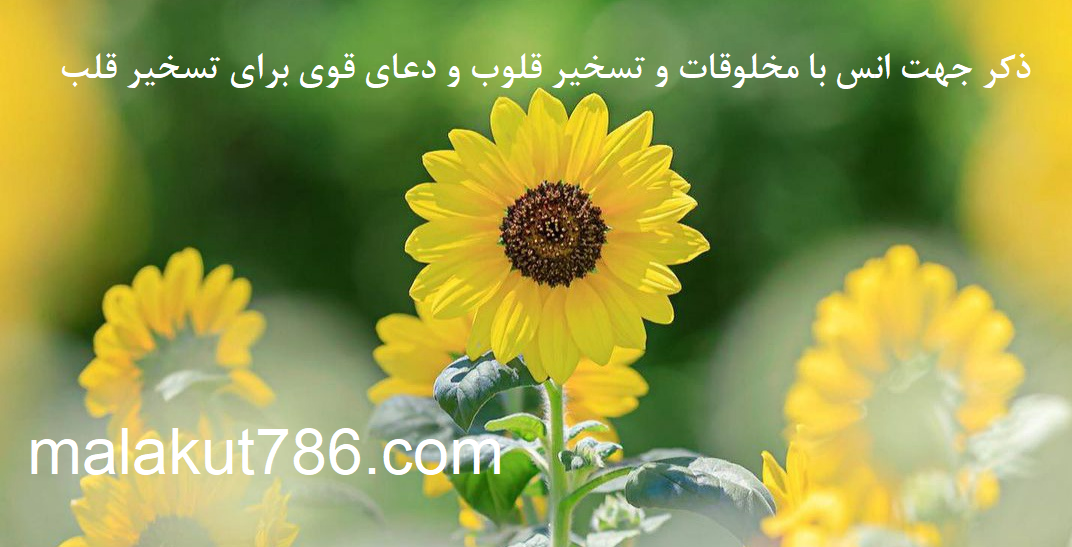 ذکر-جهت-انس-با-مخلوقات-و-تسخیر-قلوب-و-دعای-قوی-برای-تسخیر-قلب ادعيه و اذكار دسته‌بندی نشده دعا متفرقه مهر و محبت 