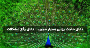 021-310x165 دسته‌بندی نشده 