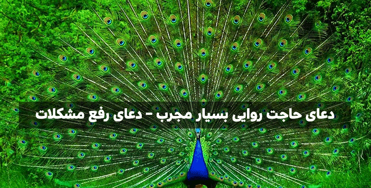 021 دسته‌بندی نشده 