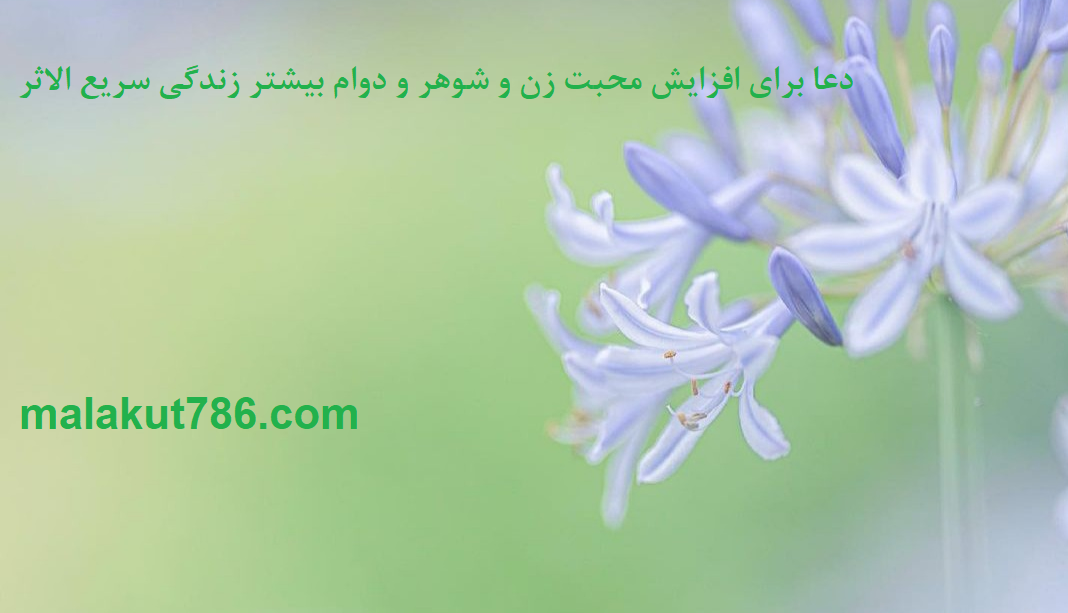 دعا-برای-افزایش-محبت-زن-و-شوهر-و-دوام-بیشتر-زندگی-سریع-الاثر ادعيه و اذكار دسته‌بندی نشده دعا مهر و محبت 