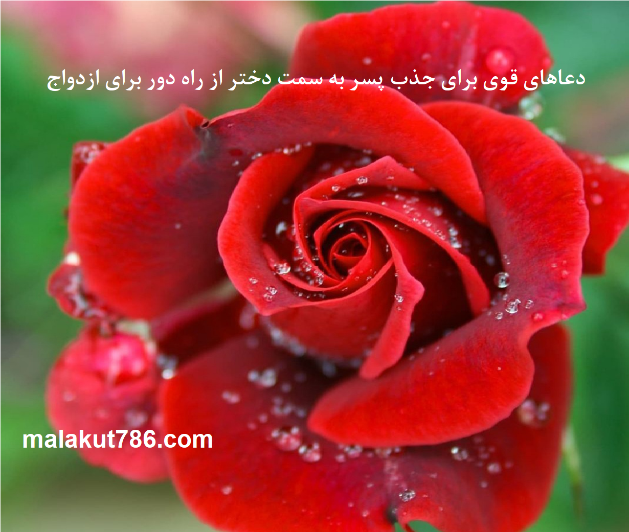 دعاهای-قوی-برای-جذب-پسر-به-سمت-دختر-از-راه-دور-برای-ازدواج-1 ادعيه و اذكار دسته‌بندی نشده دعا دعا و ختم مجرب متفرقه مهر و محبت 