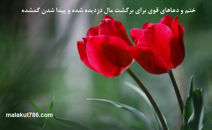 ختم-و-دعاهای-قوی-برای-برگشت-مال-دزدیده-شده-و-پیدا-شدن-گمشده-1 ادعيه و اذكار دسته‌بندی نشده دعا دعا و ختم مجرب متفرقه 