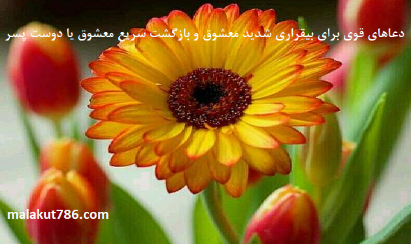 دعاهای-قوی-برای-بیقراری-شدید-معشوق-و-بازگشت-سریع-معشوق-یا-دوست-پسر ادعيه و اذكار دسته‌بندی نشده دعا دعا و ختم مجرب متفرقه مهر و محبت 