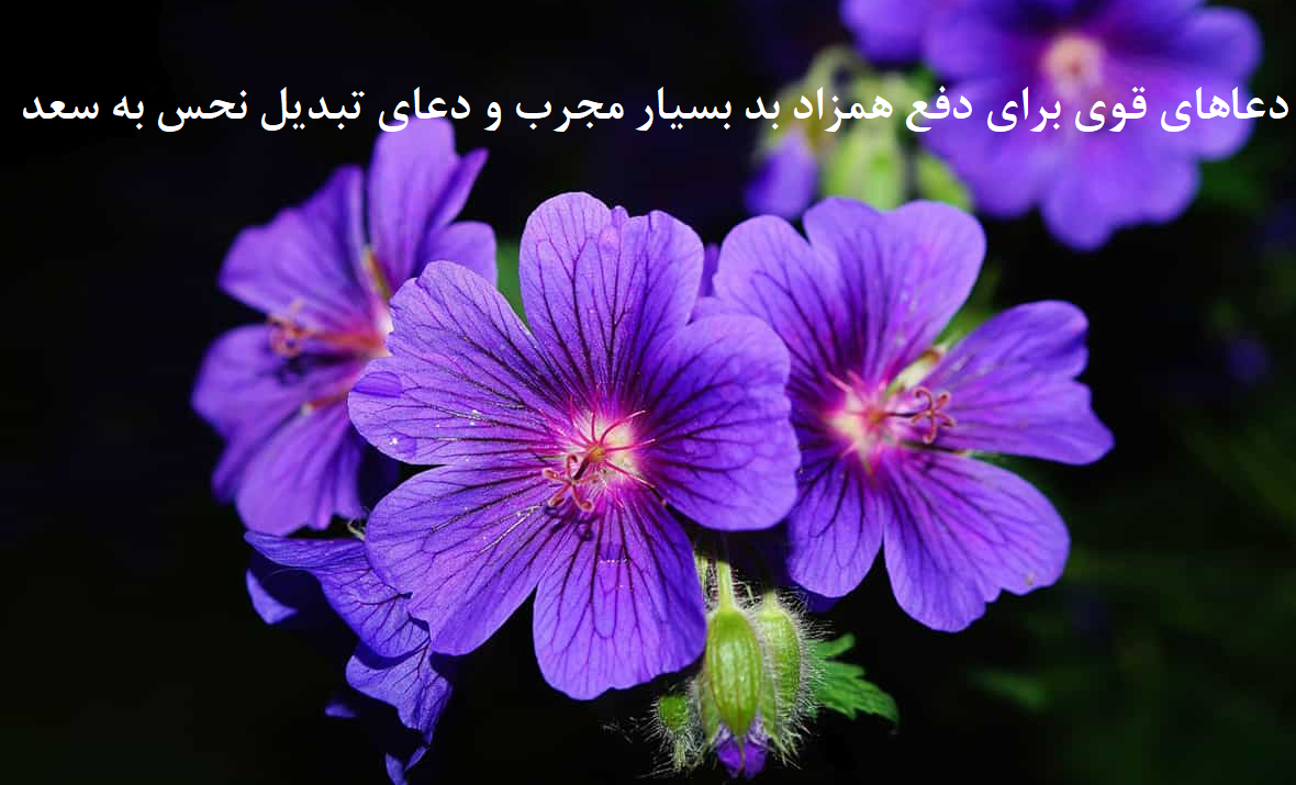 دعاهای-قوی-برای-دفع-همزاد-بد-بسیار-مجرب-و-دعای-تبدیل-نحس-به-سعد-1 ادعيه و اذكار دسته‌بندی نشده دعا دعا و ختم مجرب متفرقه 