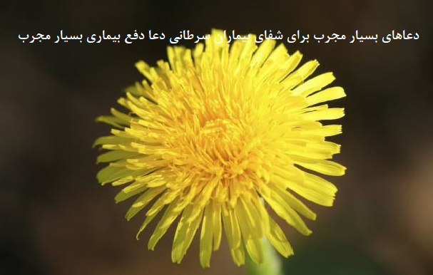 دعاهای-بسیار-مجرب-برای-شفای-بیماران-سرطانی-دعا-دفع-بیماری-بسیار-مجرب-1 ادعيه و اذكار دسته‌بندی نشده دعا دعا و ختم مجرب شفای بیماری متفرقه 