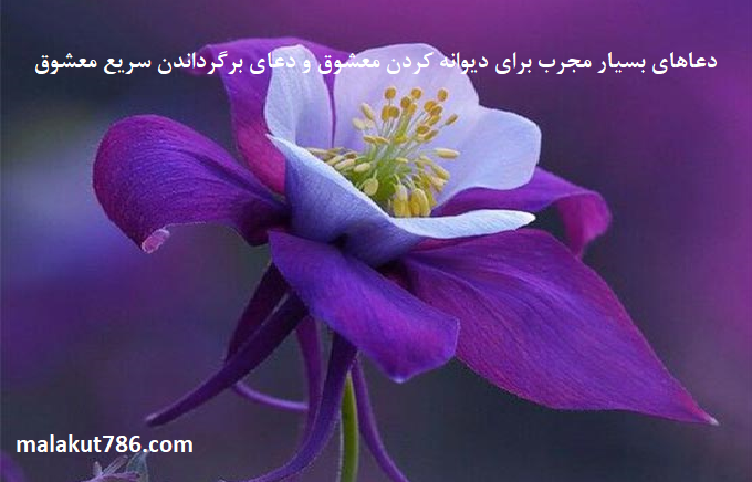 دعاهای-بسیار-مجرب-برای-دیوانه-کردن-معشوق-و-دعای-برگرداندن-سریع-معشوق-2 ادعيه و اذكار دسته‌بندی نشده دعا دعا و ختم مجرب متفرقه 