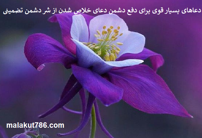 دعاهای-بسیار-قوی-برای-دفع-دشمن-دعای-خلاص-شدن-از-شر-دشمن-تضمینی-1 دعا دعا و ختم مجرب متفرقه 