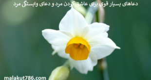 دعاهای-بسیار-قوی-برای-عاشق-کردن-مرد-و-دعای-وابستگی-مرد-1-310x165 ادعيه و اذكار دعا دعا و ختم مجرب متفرقه 