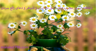 دعاهای-بسیار-مجرب-برای-آشتی-دادن-زن-و-شوهر-و-دعای-رفع-سردی-1-310x165 ادعيه و اذكار دعا دعا و ختم مجرب متفرقه مهر و محبت 