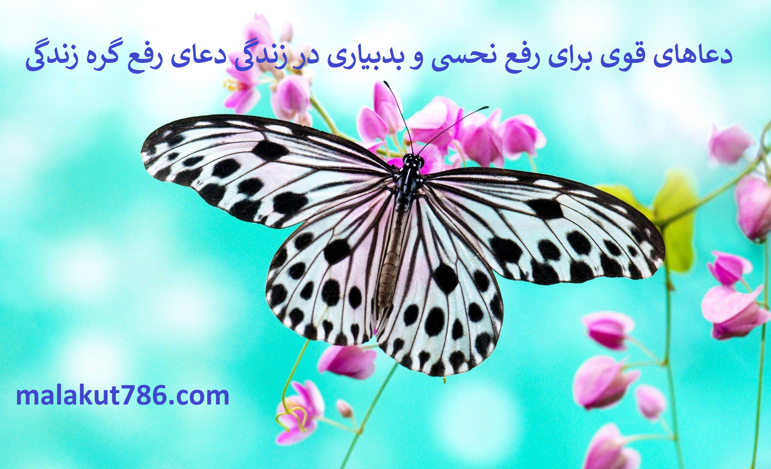 دعاهای-قوی-برای-رفع-نحسی-و-بدبیاری-در-زندگی-دعای-رفع-گره-زندگی-1 ادعيه و اذكار دعا دعا و ختم مجرب متفرقه 