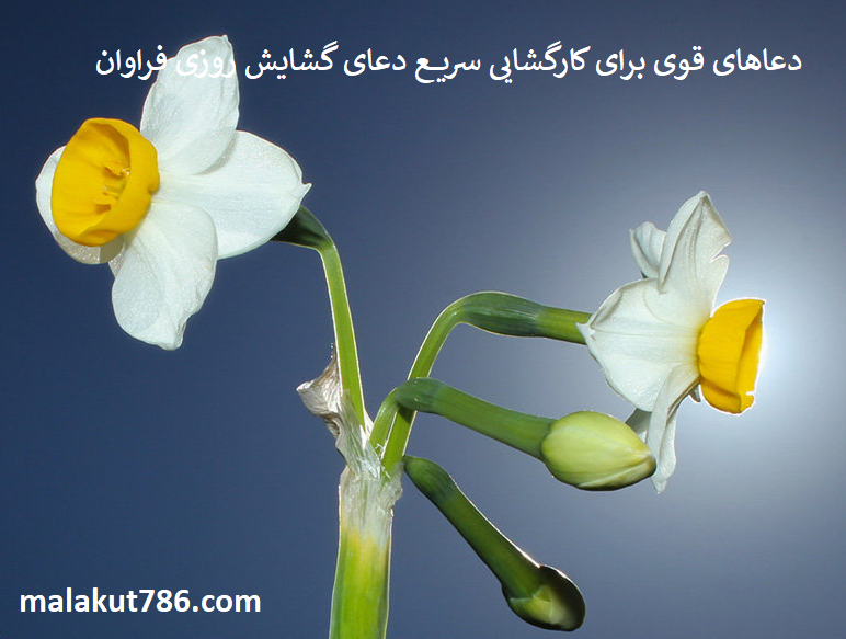 دعاهای-قوی-برای-کارگشایی-سریع-دعای-گشایش-روزی-فراوان-1 ادعيه و اذكار دعا دعا و ختم مجرب متفرقه 